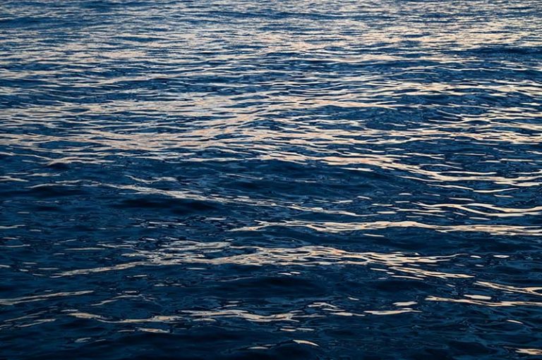 BuoysRUs Marine Exchange of Puget Sound